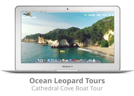 Ocean Leopard Tours