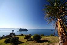 Cathedral Cove Walkway - No 11