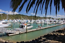 Whitianga  No 04