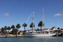 Whitianga  No 08