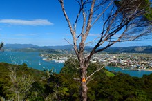 Whitianga  No 14